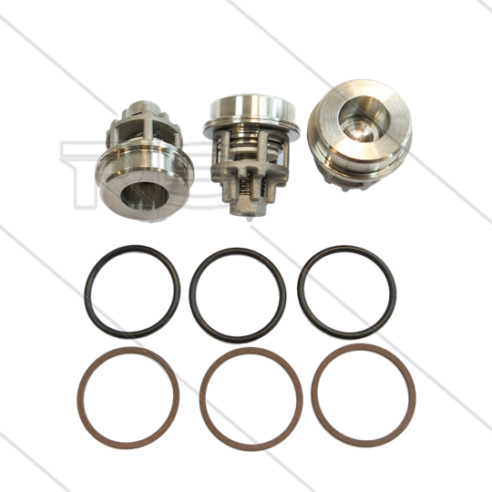 Kit 2120 - Set zuigkleppen (3x) - Serie SS70 + SN70