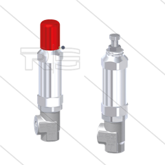 VS1100 - veiligheidsventiel - RVS303 - 1000 Bar - 40 l/min - max 100°C - In: 3/8&quot;bi - Bypass: 3/8&quot;bi