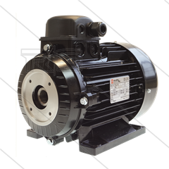 E-motor 3.0 kW - 230/400V - Ø24mm inwendige as - IEC 100 - pompserie: 44 - 50 - 51 -  53(E1) - 58(E2