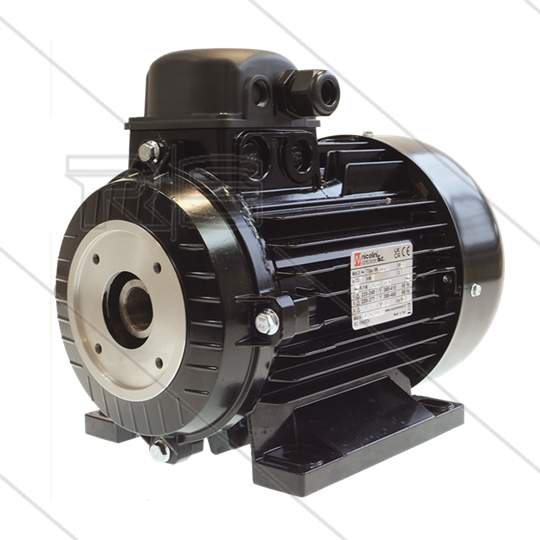E-motor 3.0 kW - 230/400V - Ø24mm inwendige as - IEC 100 - pompserie: 44 - 50 - 51 -  53(E1) - 58(E2