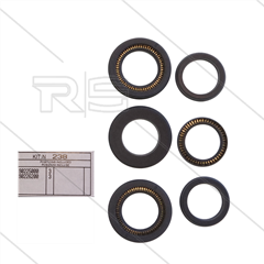Kit 238 - Manchetset Ø20mm voor 3 plunjers - serie SS