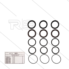 Kit 301 - Manchetset Ø45mm voor 3 plunjers - Serie AB